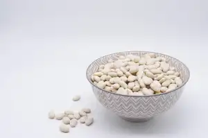 Protein Na Přibírání