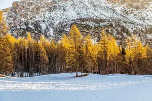 Běh Na Lyžích Milán Cortina 2026